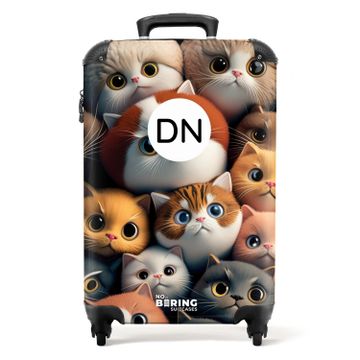 Chatons orange