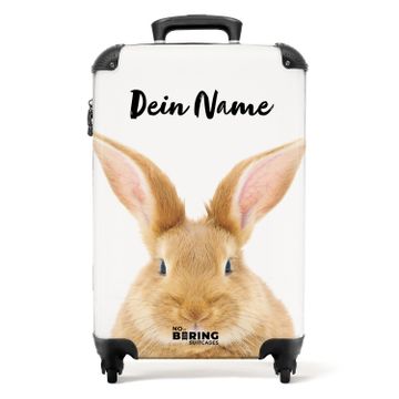 Jean le lapin