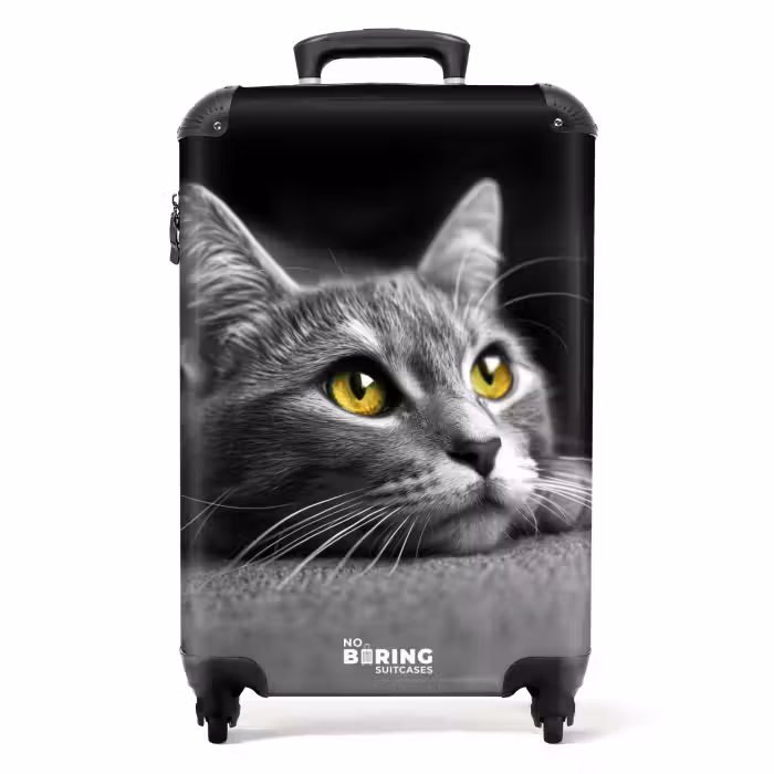 Valise - Chat noir et blanc aux yeux jaunes