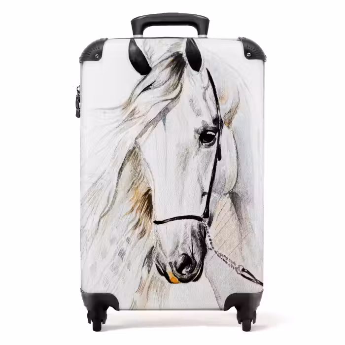 Valise - Flocon de neige