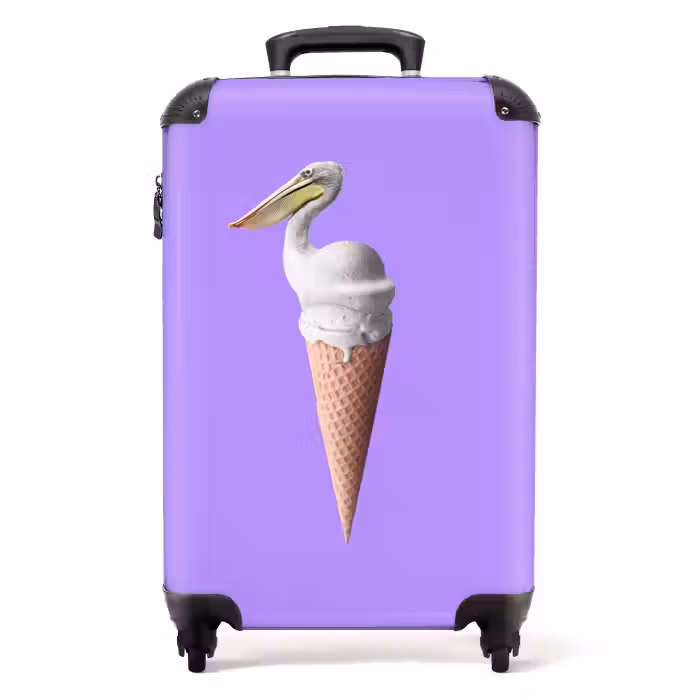 Valise - Cône pélican