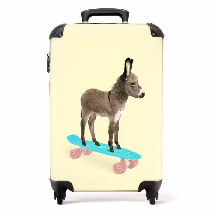 Valise - Promenade à dos d'âne