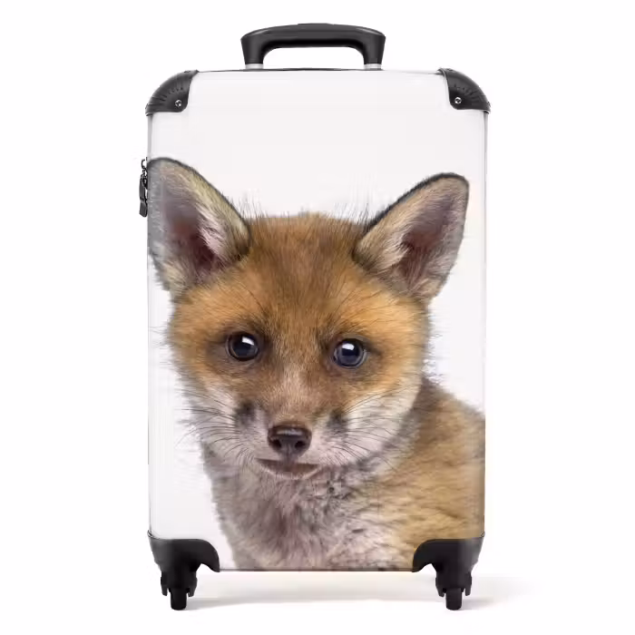 Valise - Victor Vos