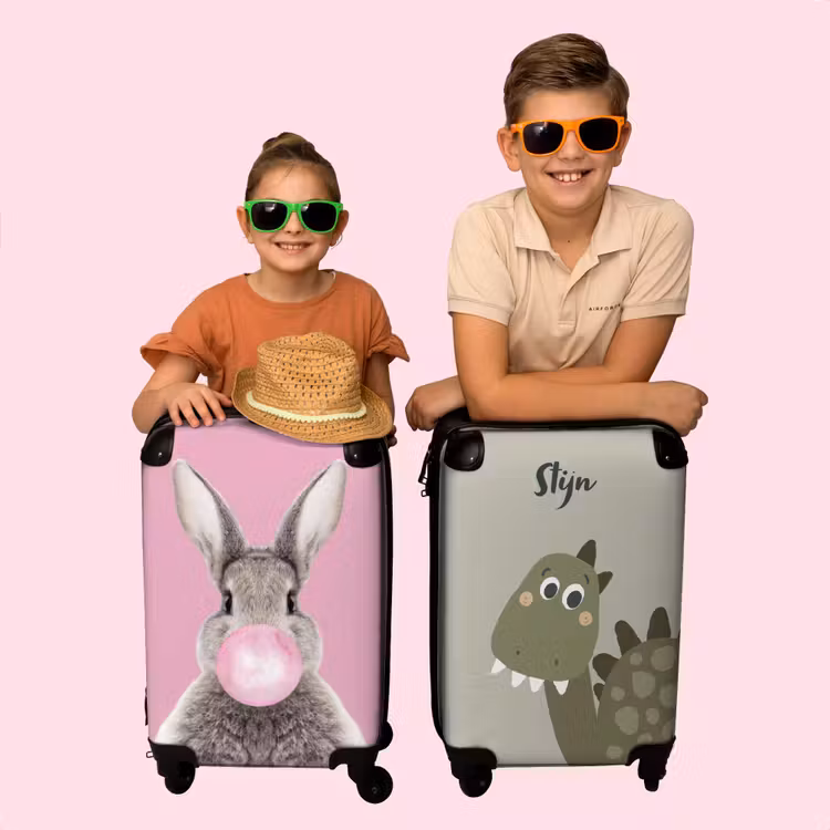 Valise - Dino rigolo — 4