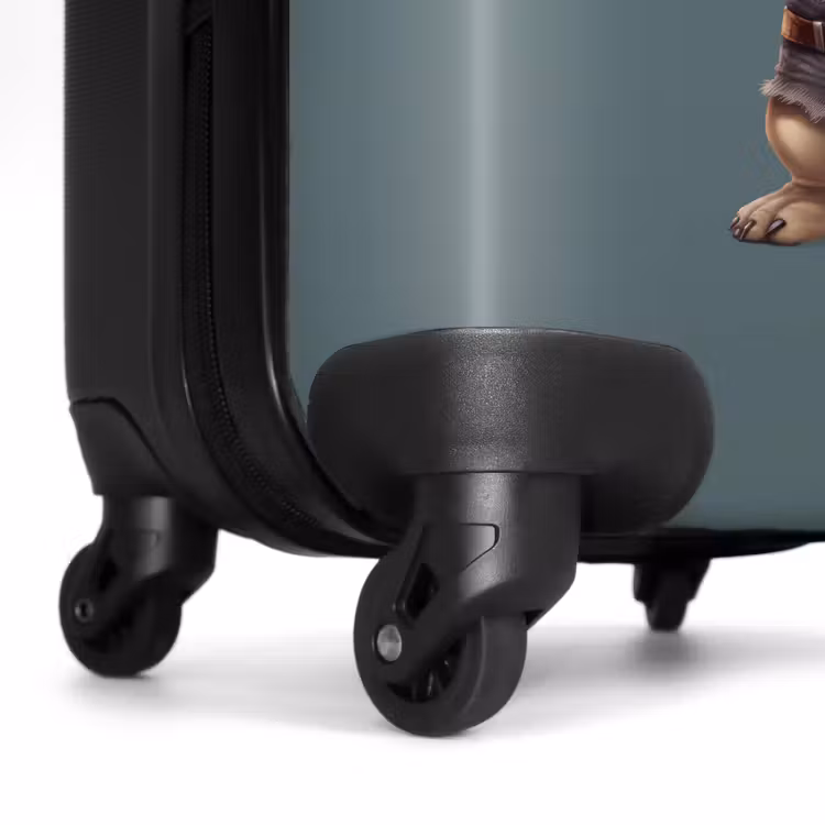 Valise - Bernard Boxeur — 5