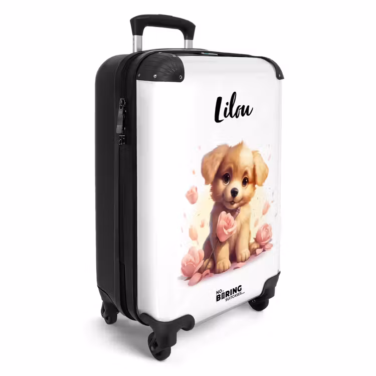 Valise - Charles Chiot — 4