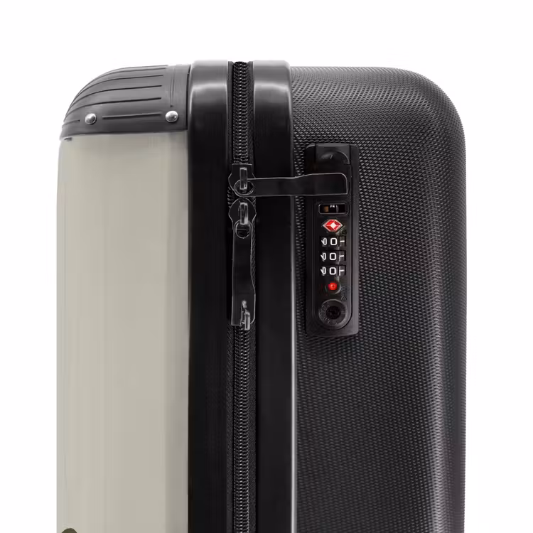 Valise - David Dinosaure — 3