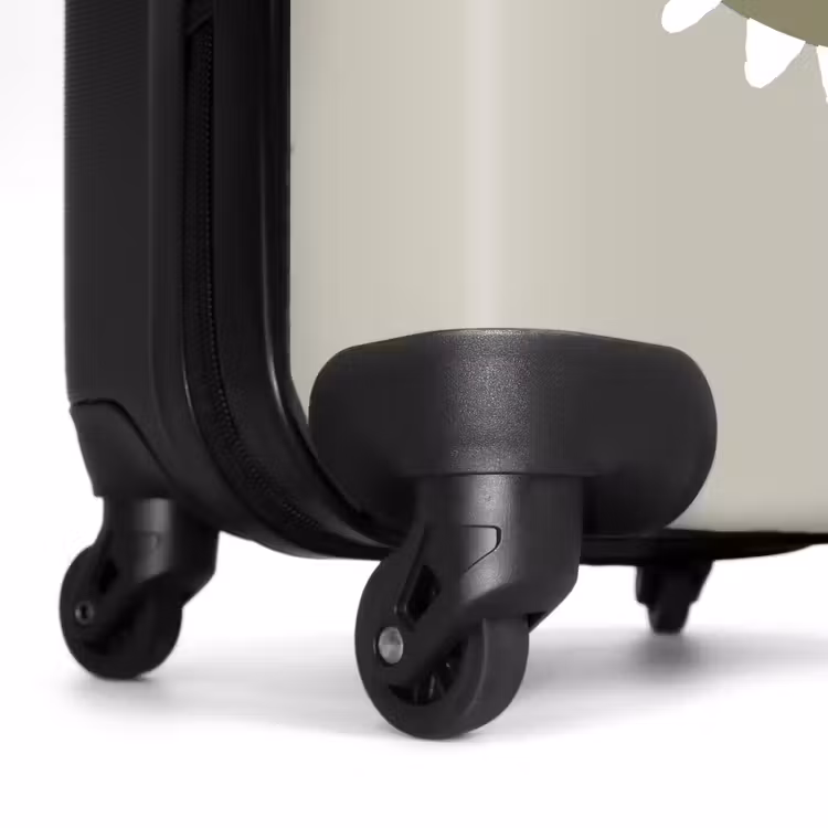Valise - David Dinosaure — 5