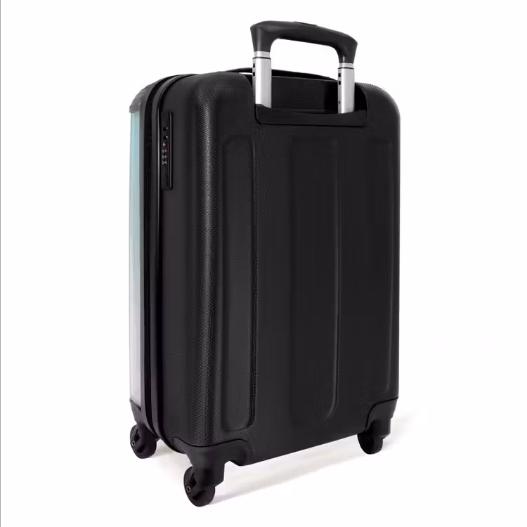Valise - Vue de plante de cactus — 5