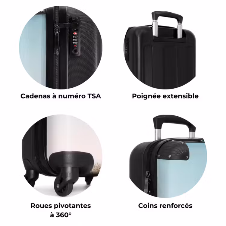 Valise - Vue de plante de cactus — 7