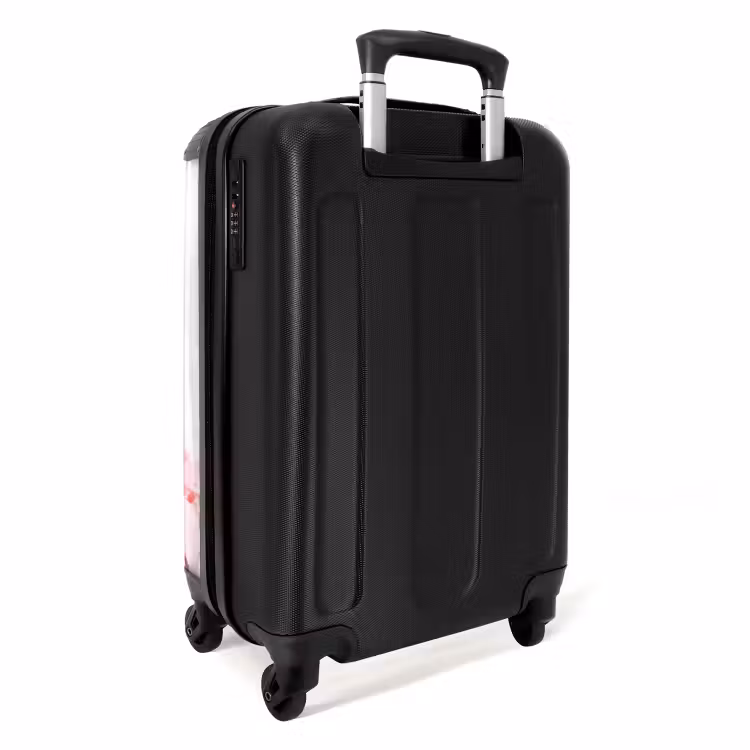 Valise -  Cheval de parade pastel — 7