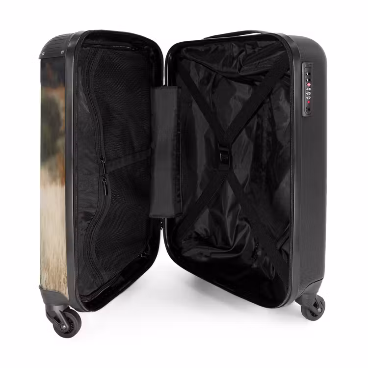 Valise - FotoValise zakelijk — 2
