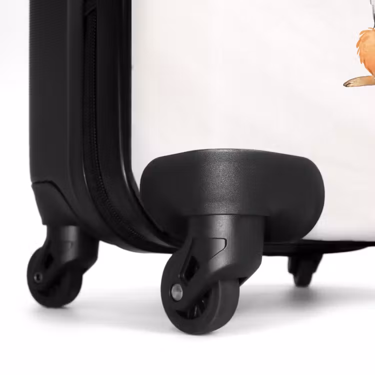 Valise - Rémy Renard — 5