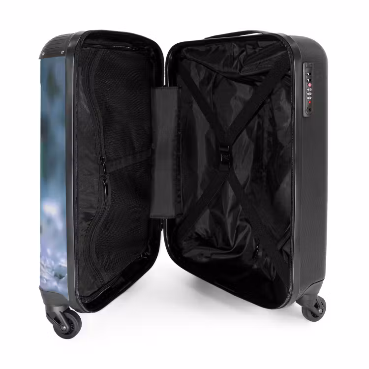 Valise - Amis givrés — 4