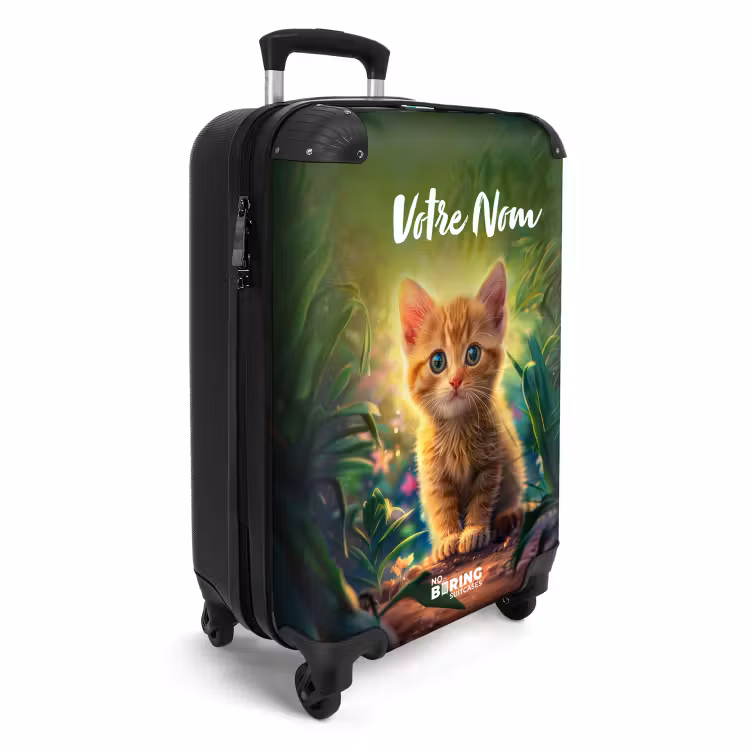 Valise - Chaton Colin — 2