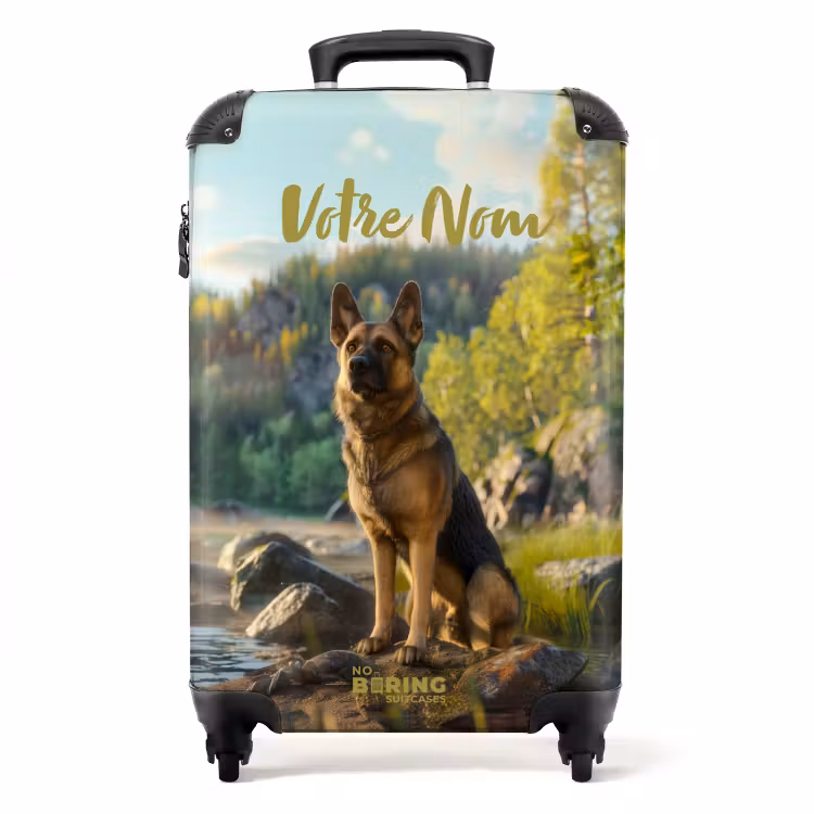 Valise - Henri le berger — 1