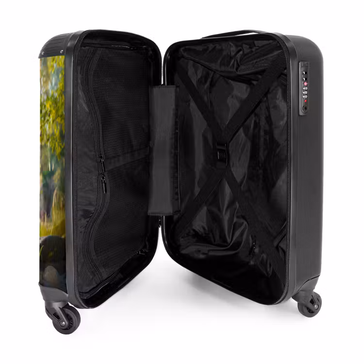Valise - Henri le berger — 4