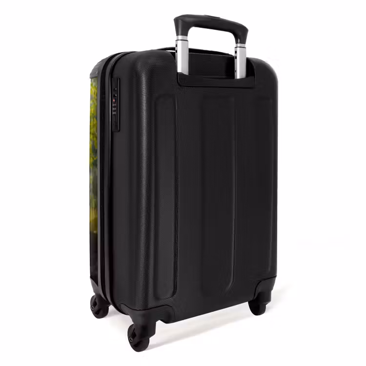 Valise - Henri le berger — 7