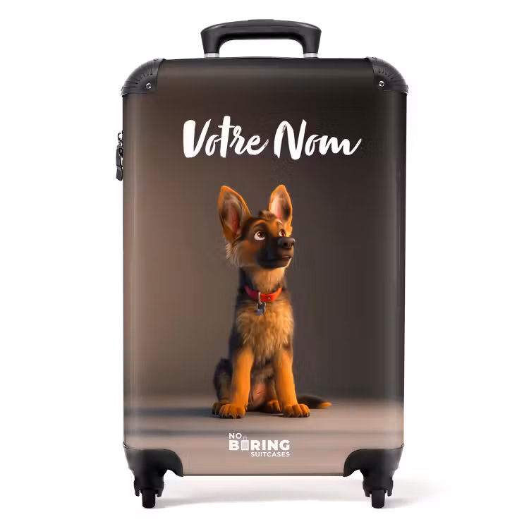 Valise - Hervé le berger — 1