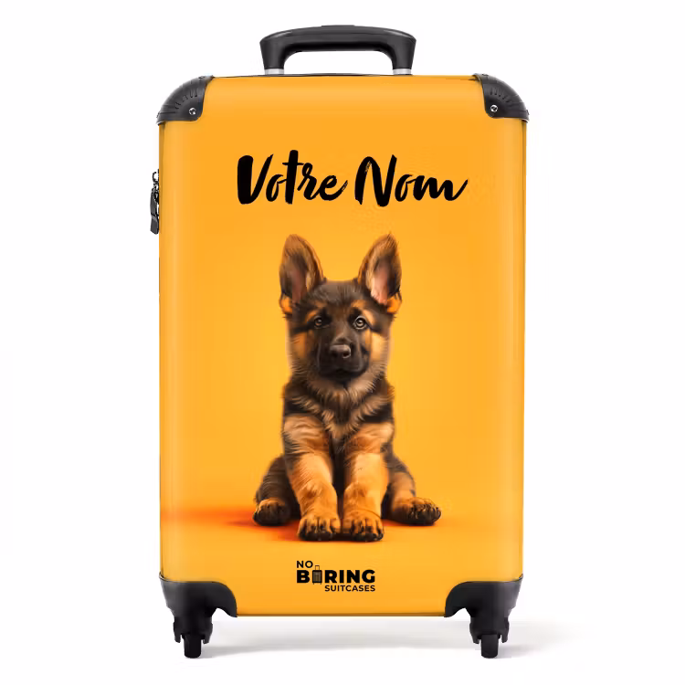 Valise - Hugo le berger — 1