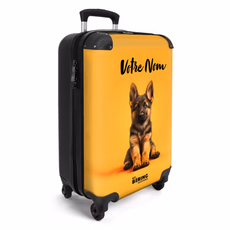 Valise - Hugo le berger — 2