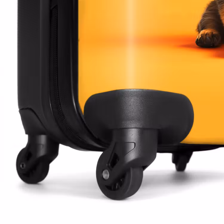 Valise - Hugo le berger — 6
