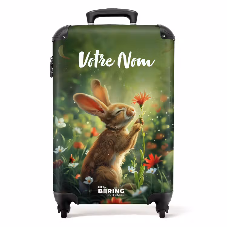 Valise - Lapin Laurent — 1