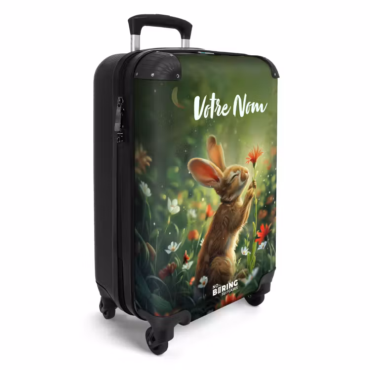 Valise - Lapin Laurent — 2