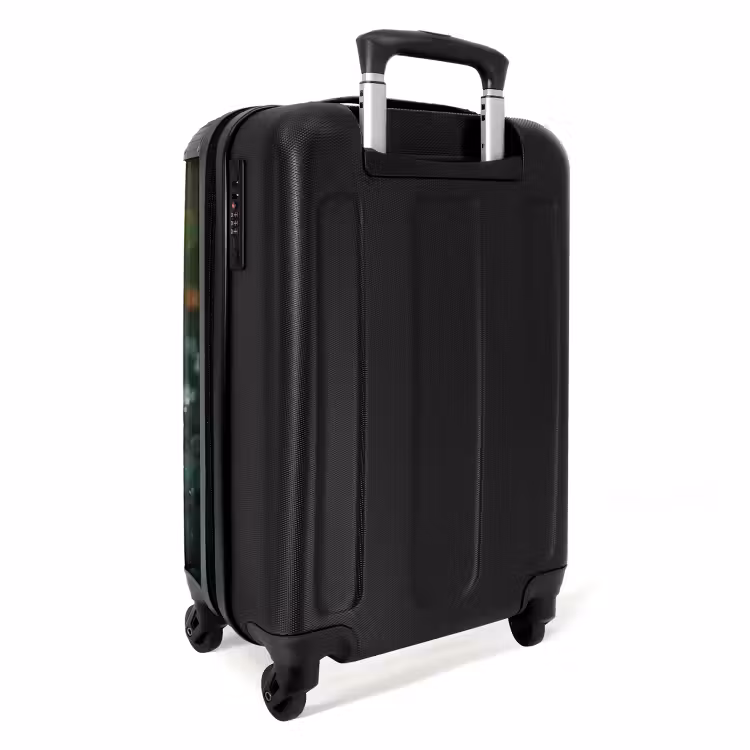 Valise - Lapin Laurent — 7