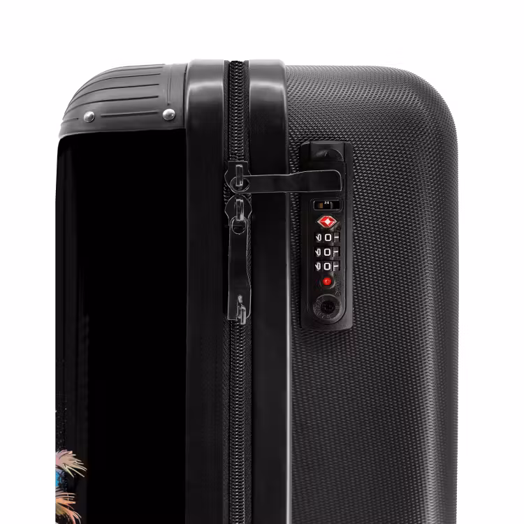 Valise - Fête de palmier — 5