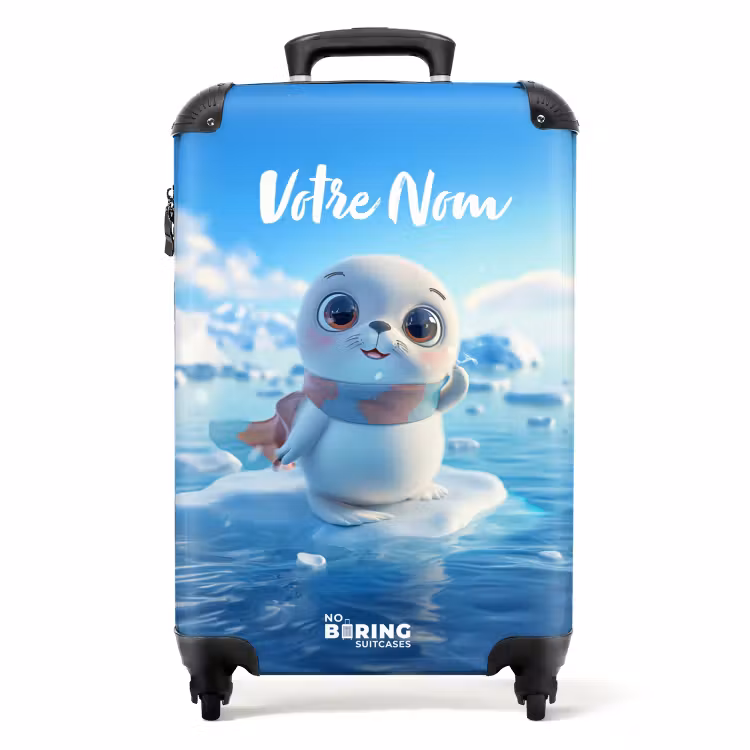 Valise - Glacial — 1