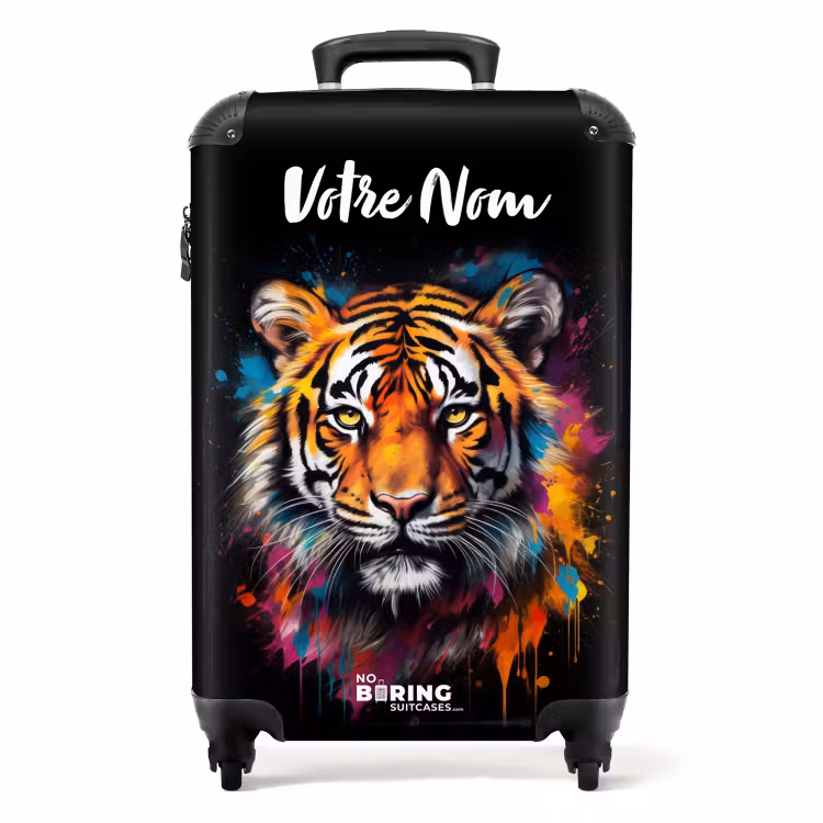 Valise -  Rayures de rue — 1