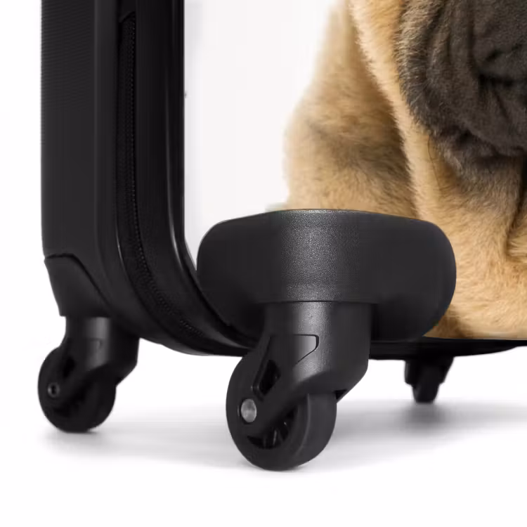 Valise avec nom - Chien au visage boudeur — 6