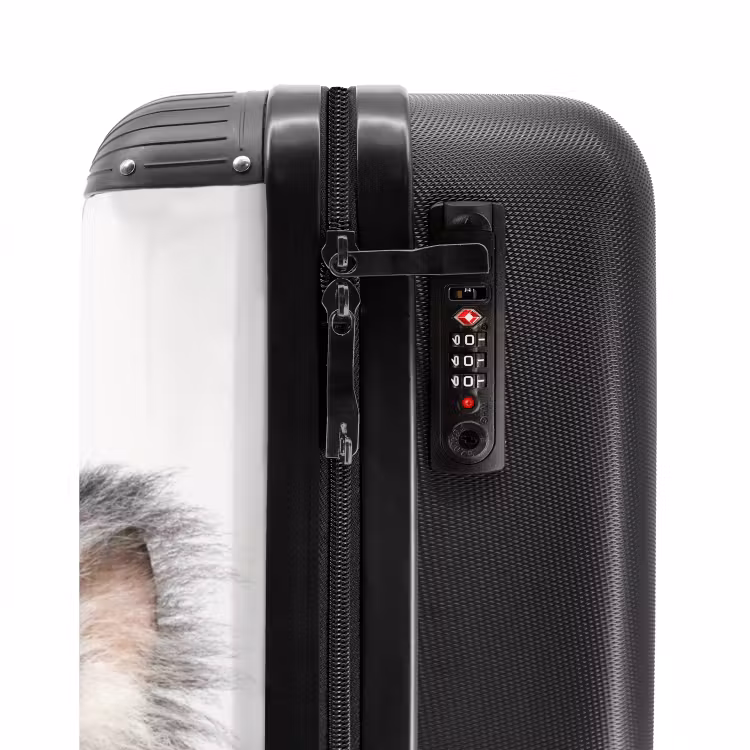 Valise avec nom - Claude le koala — 5