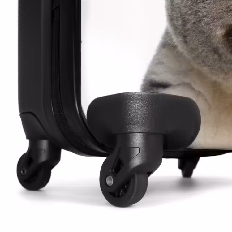 Valise avec nom - Claude le koala — 6