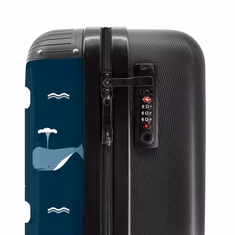 Valise - Le monde des baleines — 5