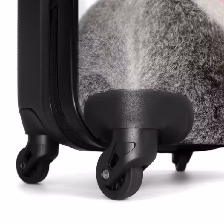 Valise - Koala à chewing-gum — 6