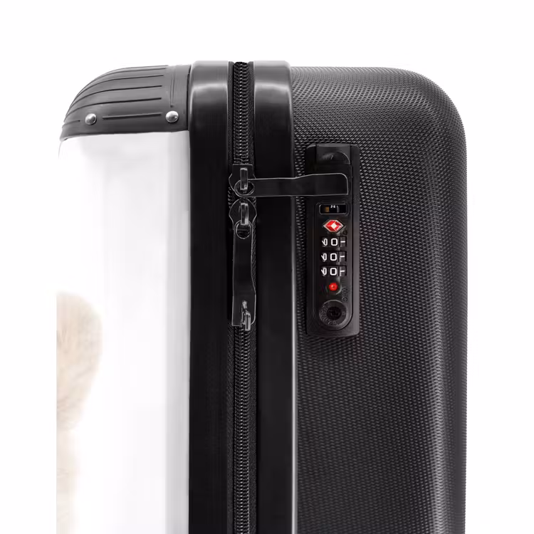 Valise - Ours à bulles — 5