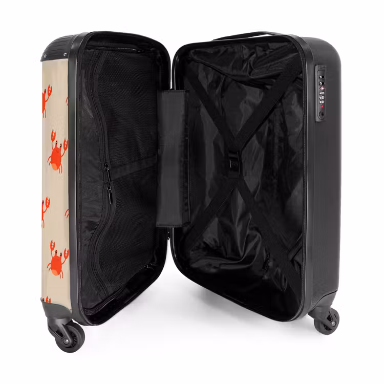 Valise - Problème des crabes — 4