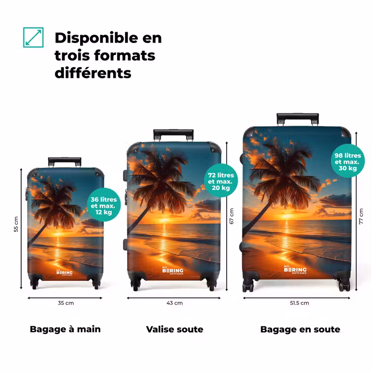 Valise - Palmier au coucher du soleil — 3
