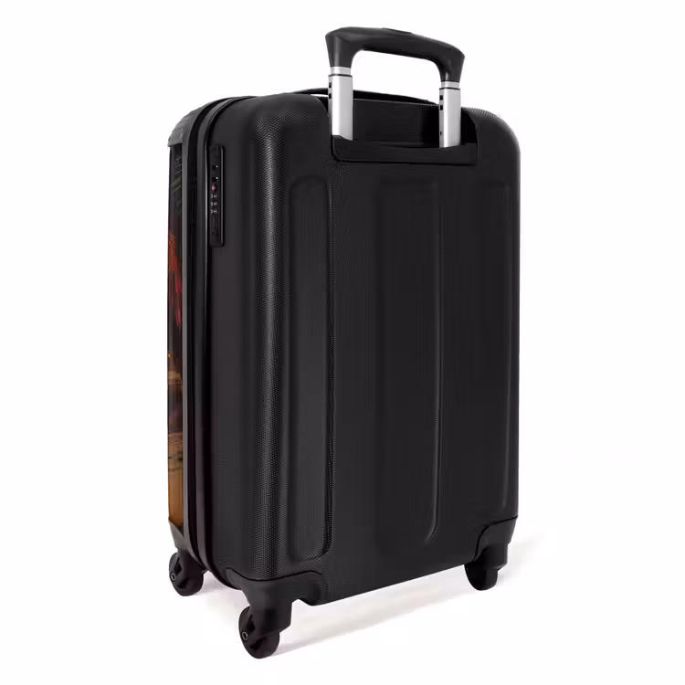 Valise - Palmiers sur une plage — 4