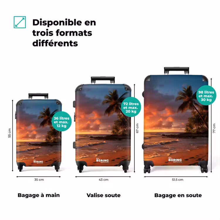 Valise - Plage avec palmier au coucher du soleil — 3