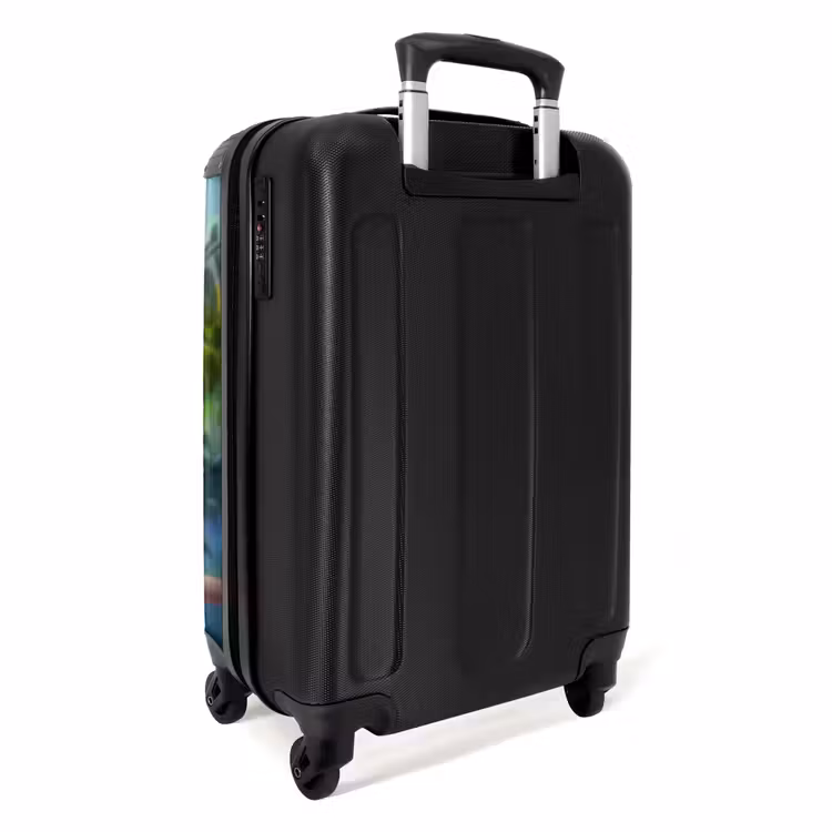 Valise - Perroquet Paco — 3
