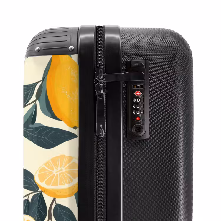 Valise - Fruits anciens - Citrons — 5