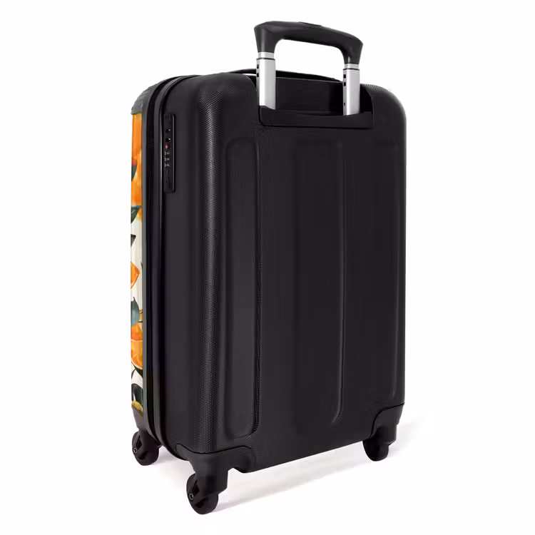 Valise - Fruits anciens - Mandarines — 3