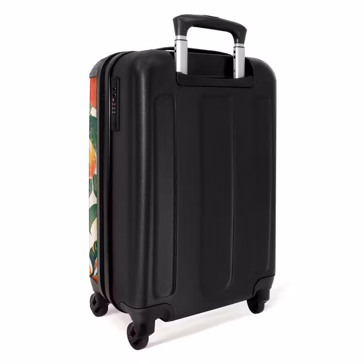 Valise - Fruits anciens - Pêches — 3