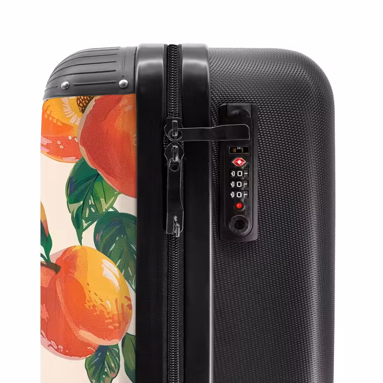 Valise - Fruits anciens - Pêches — 5