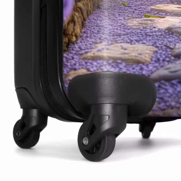 Valise - Chemin avec des buissons de lavande violette — 6