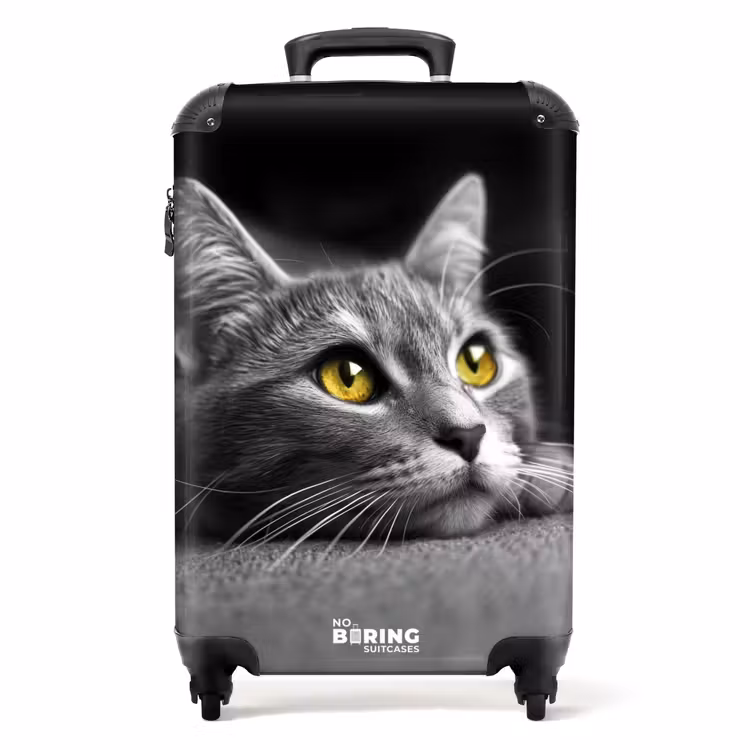 Valise - Chat noir et blanc aux yeux jaunes — 1