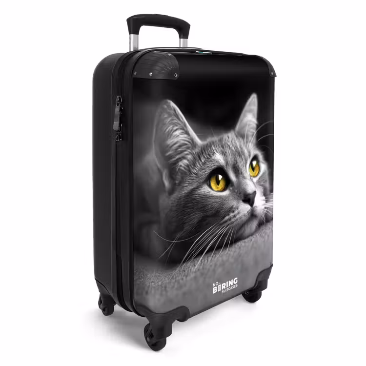 Valise - Chat noir et blanc aux yeux jaunes — 2